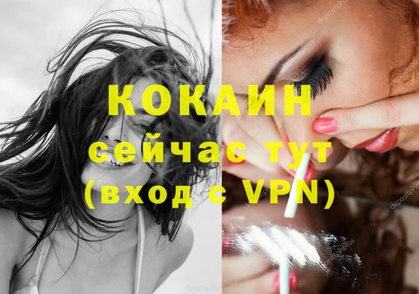 спиды Абаза