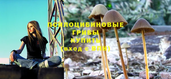 ГАЛЛЮЦИНОГЕННЫЕ ГРИБЫ Алзамай