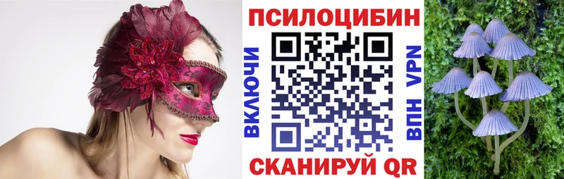 Галлюциногенные грибы Psilocybine cubensis  KRAKEN зеркало  Юхнов 